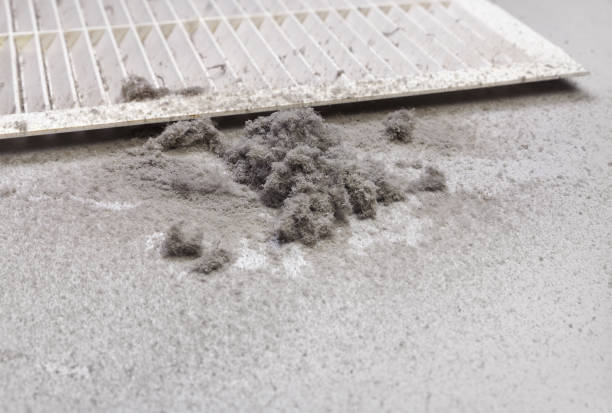 Best Air Duct Cleaning Near Me  in China Lake Acres, CA